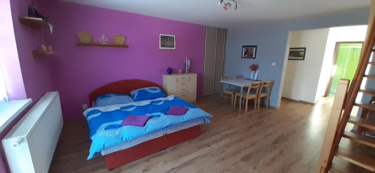 Privat Bene Lägenhet Vyšné Ružbachy Rum bild