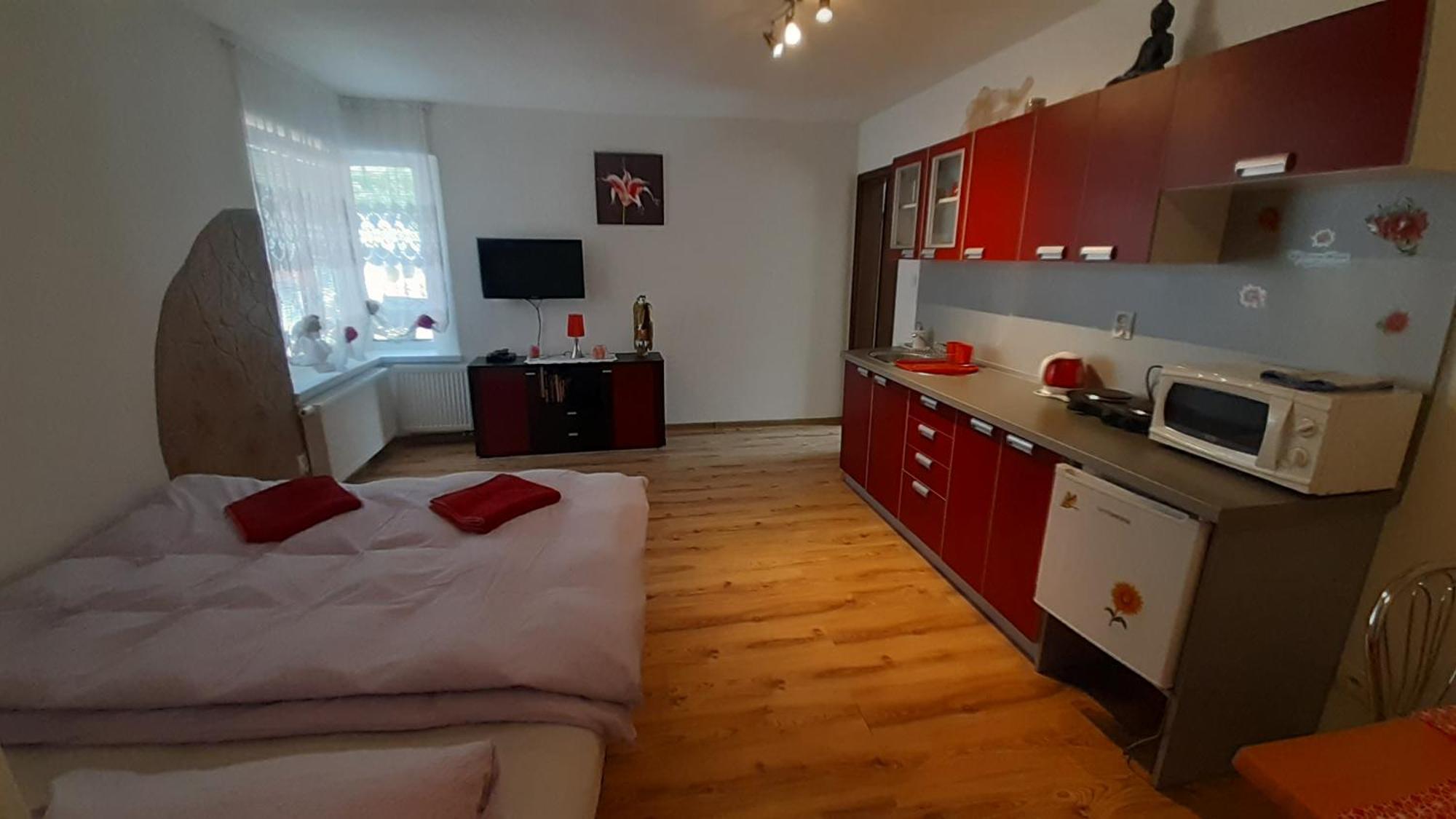 Privat Bene Lägenhet Vyšné Ružbachy Rum bild